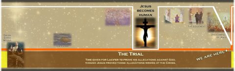 (During the Trial both sides present their evidence.)